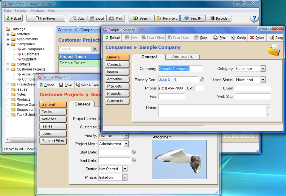 screenshot of SpeedBase Professional